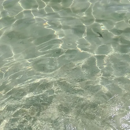 Oasi Con Piscina